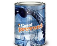 Cesal Prevent akridgyanta alapú korróziógátló alapozó.